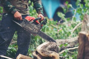asian-man-cutting-trees-using-an-electrical-chainsaw-min