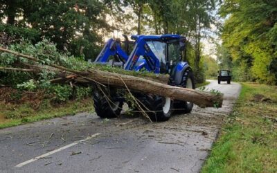 Elagage: c’est comme ça à Villers en Arthies