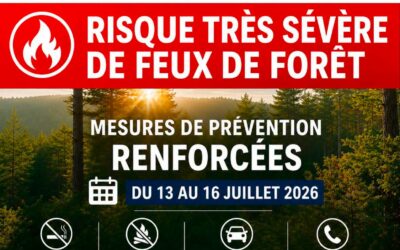 Risque incendie élevé : mesures de prévention renforcées en forêt