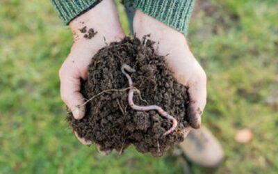 Sortie nature gratuite aux Buttes d&rsquo;Arthies le 24/10
